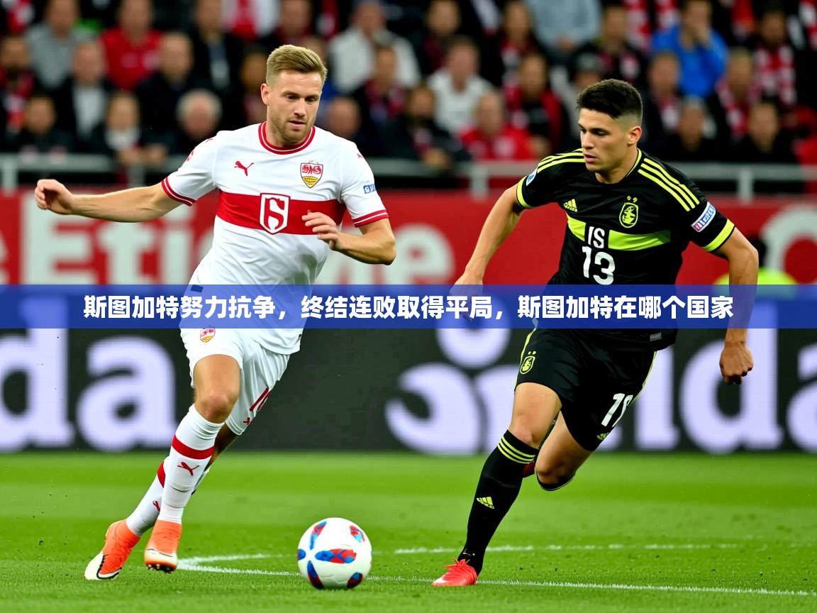 斯图加特努力抗争,终结连败取得平局,斯图加特在哪个国家 第1张