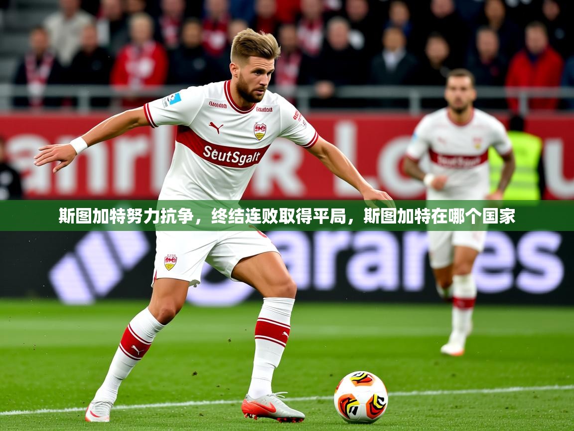 斯图加特努力抗争,终结连败取得平局,斯图加特在哪个国家 第3张