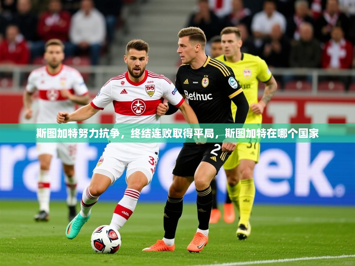斯图加特努力抗争,终结连败取得平局,斯图加特在哪个国家 第4张
